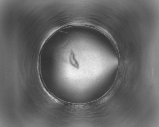 X0000053090855200507251603