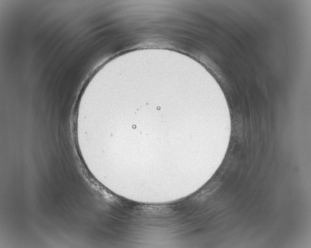 X0000053090856200507251603