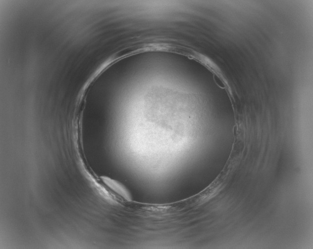 X0000053090859200507251603