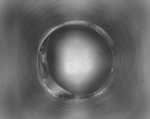 X0000053090860200507251603