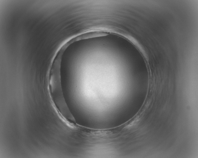 X0000053090862200507251603