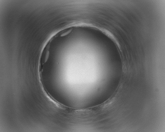 X0000053090863200507251603