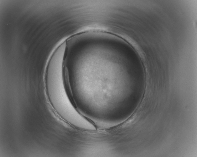 X0000053090864200507251603