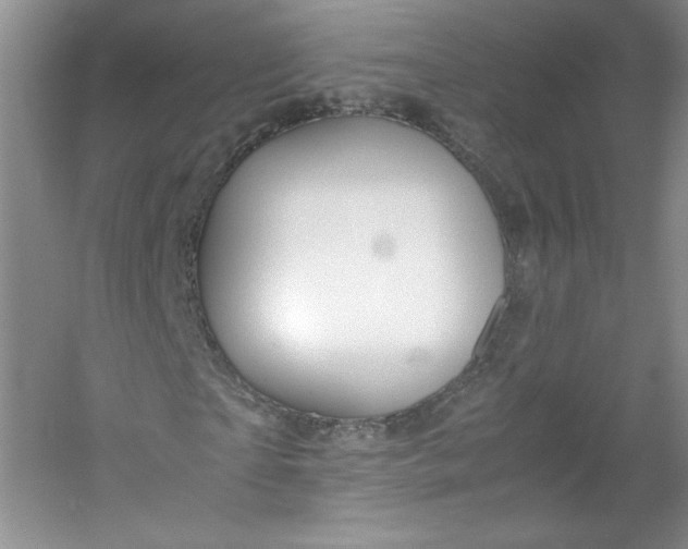 X0000053090865200507251602