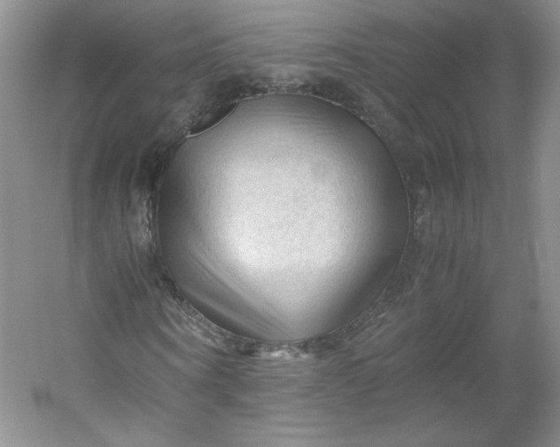 X0000053090866200507251602