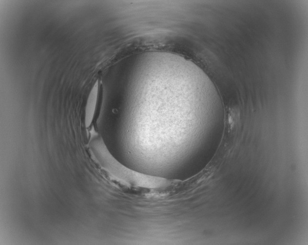 X0000053090867200507251602