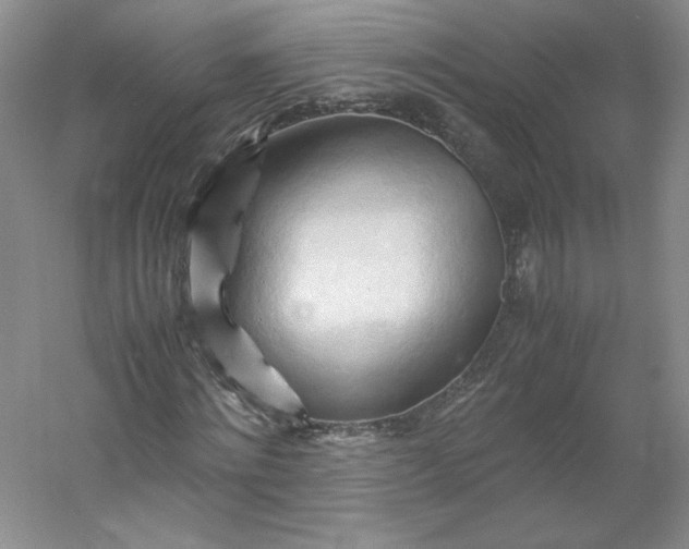 X0000053090868200507251602