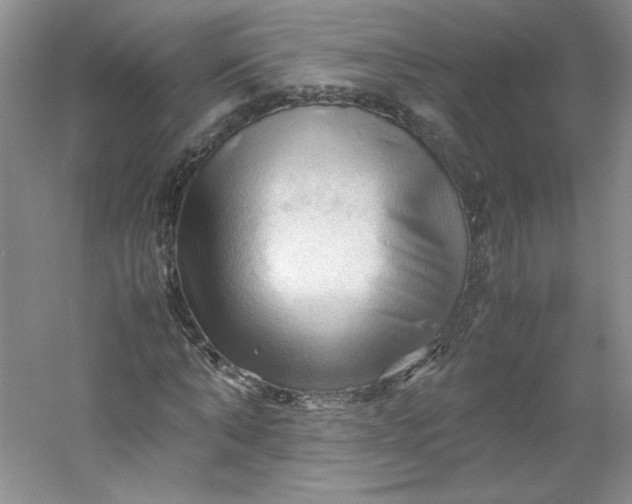 X0000053090870200507251602