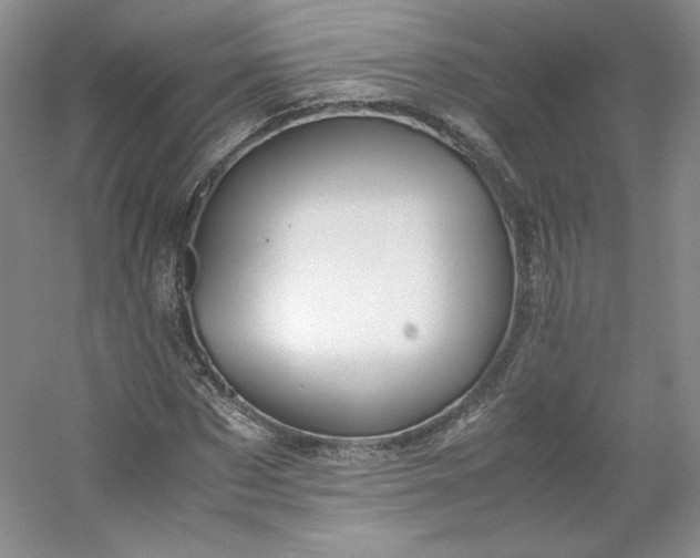 X0000053090873200507251602