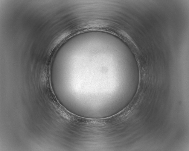 X0000053090874200507251602