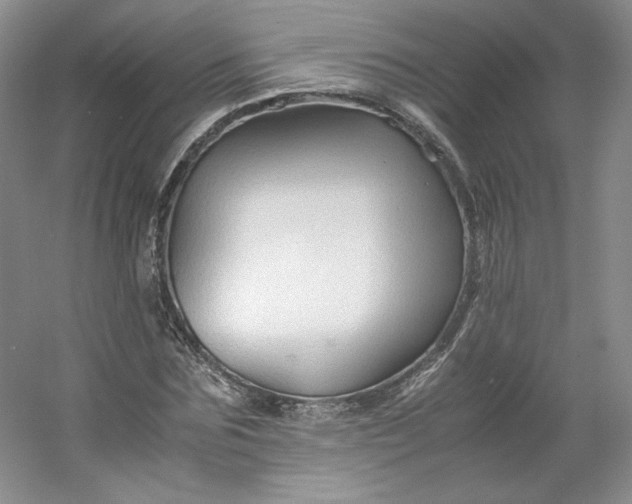 X0000053090875200507251602