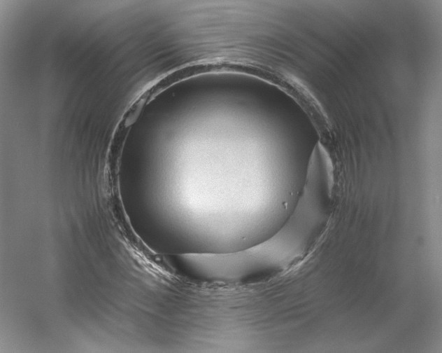 X0000053090876200507251602