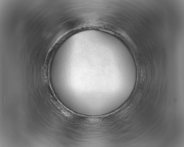 X0000053090878200507251602