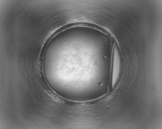 X0000053090879200507251602