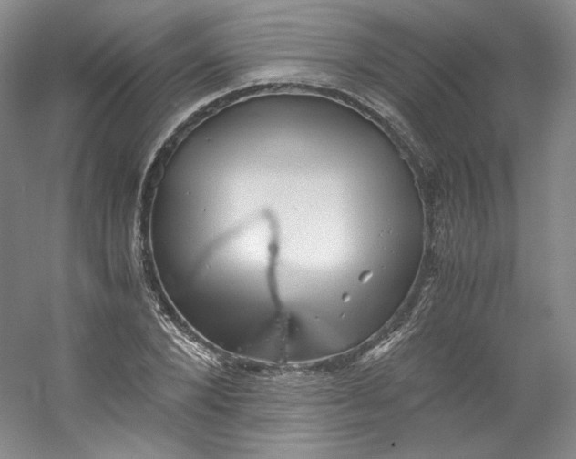 X0000053090880200507251602