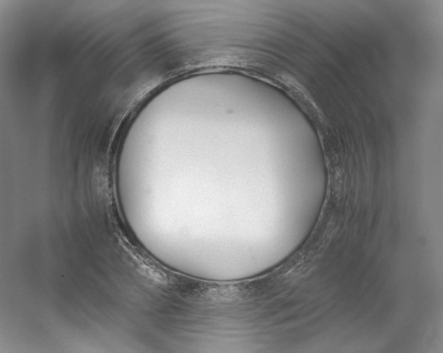 X0000053090882200507251602