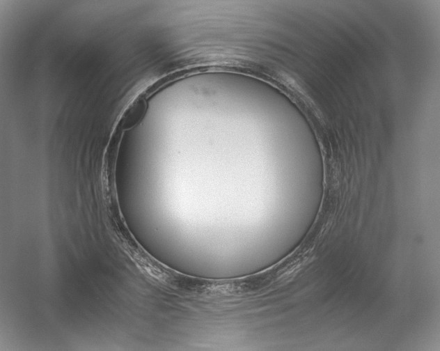 X0000053090883200507251602