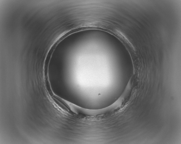 X0000053090884200507251602