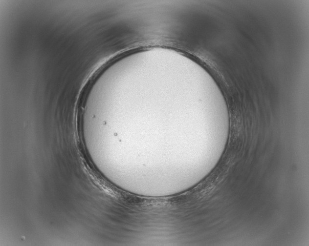 X0000053090886200507251602