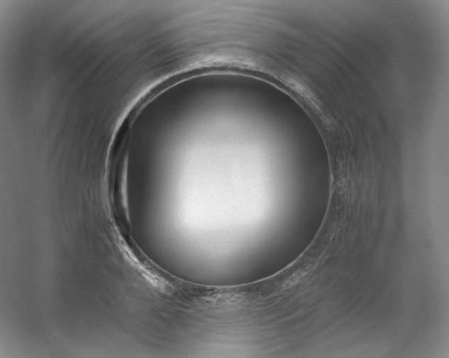 X0000053090888200507251602