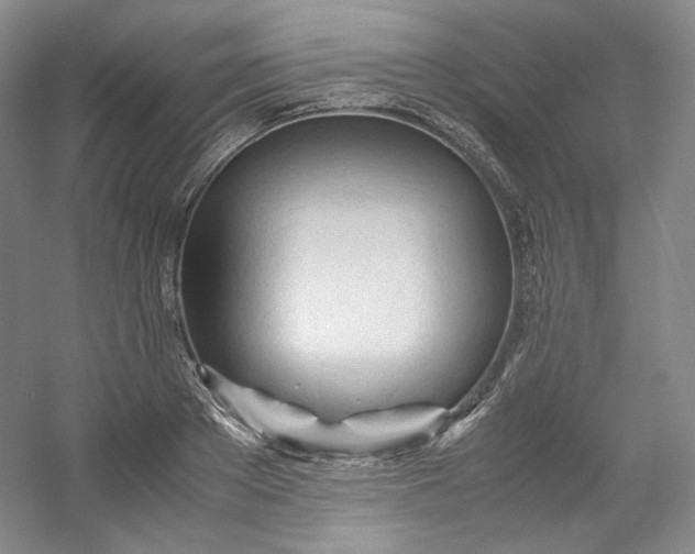 X0000053090889200507251602