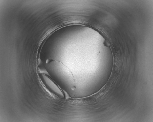 X0000053090890200507251602