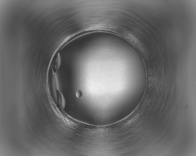 X0000053090892200507251601