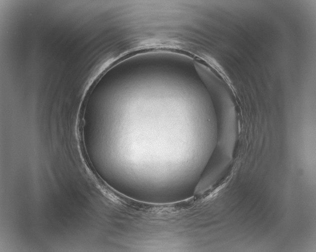 X0000053090893200507251601