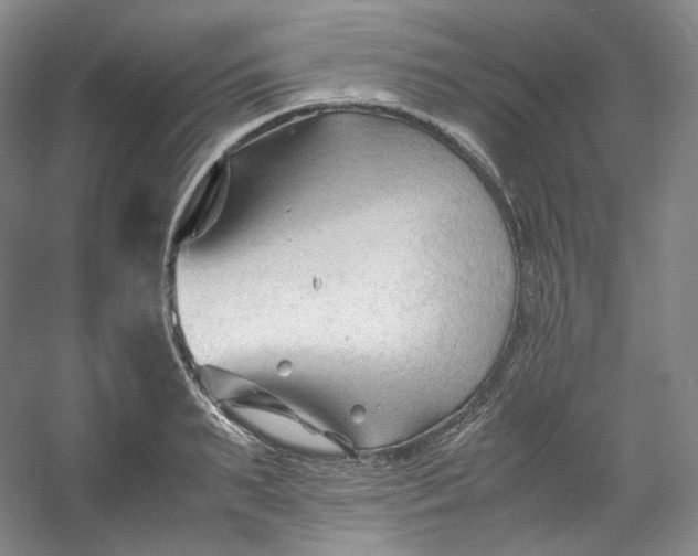 X0000053090895200507251601