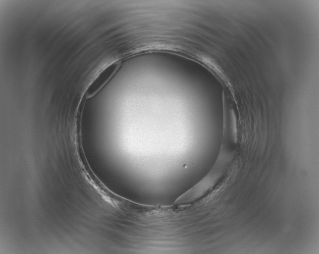 X0000053090898200507251601