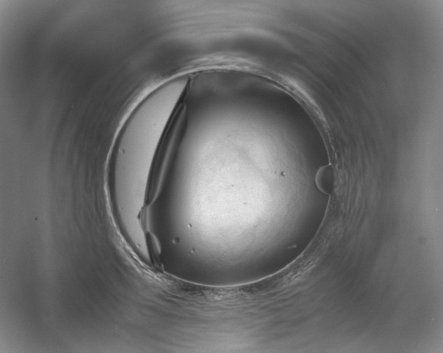 X0000053090899200507251601