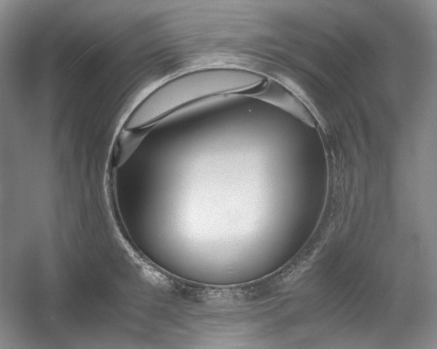 X0000053090901200507251601