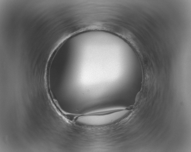 X0000053090902200507251601