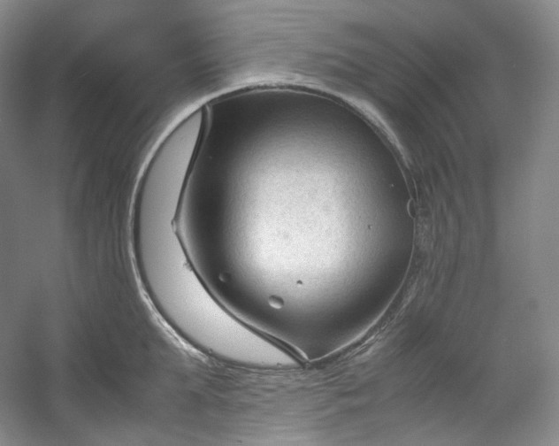 X0000053090903200507251601