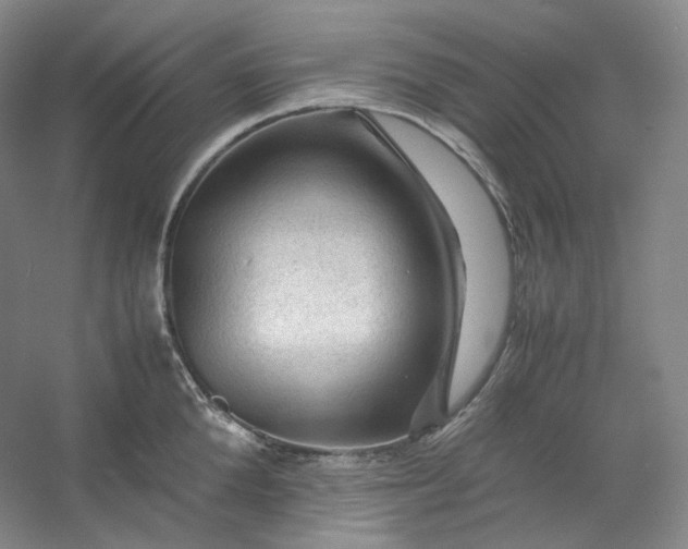 X0000053090904200507251601