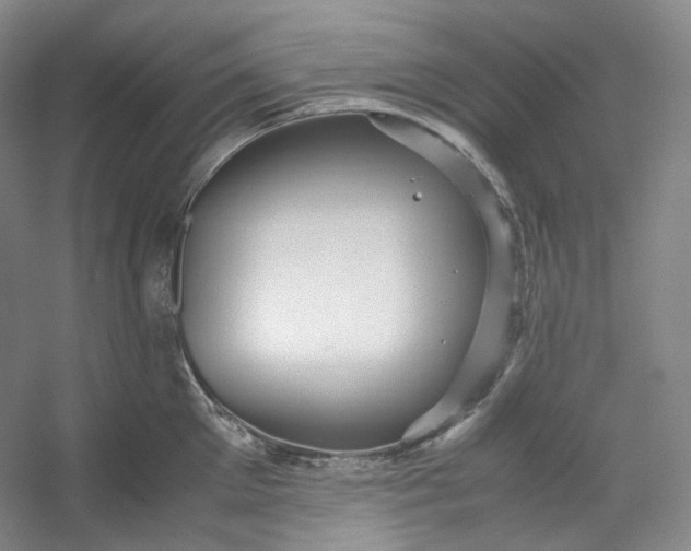 X0000053090905200507251601