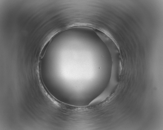 X0000053090906200507251601