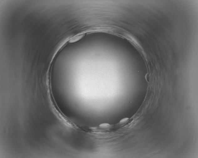 X0000053090907200507251601