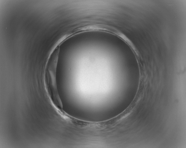 X0000053090909200507251601