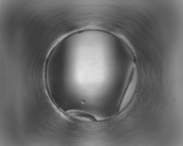 X0000053090910200507251601