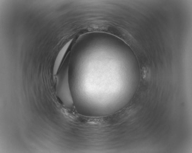 X0000053090915200507251600