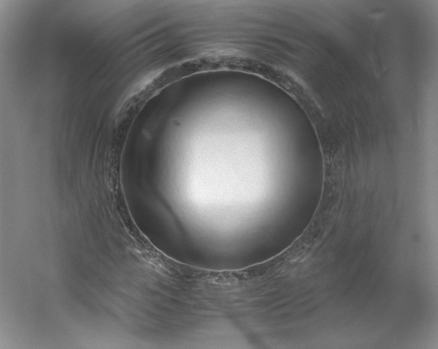 X0000053090919200507251600