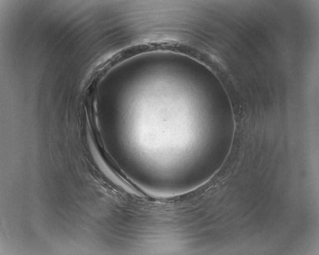 X0000053090920200507251600