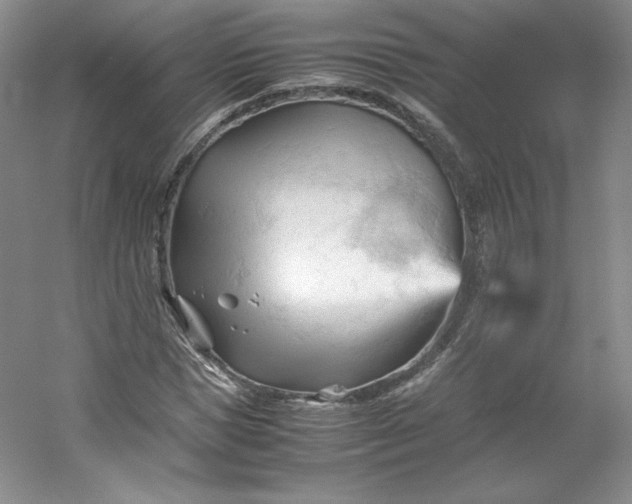 X0000053090921200507251600