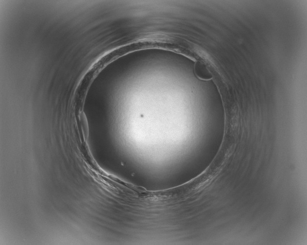 X0000053090923200507251600