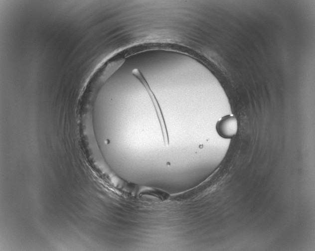 X0000053090926200507251601