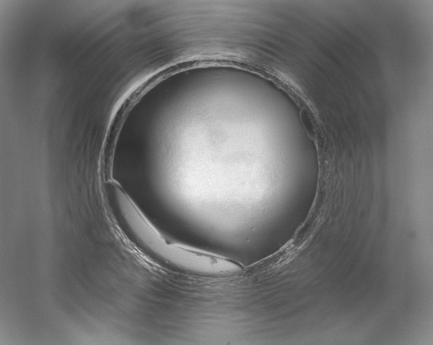 X0000053090928200507251601