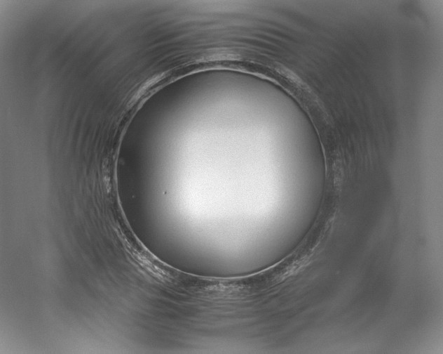 X0000053090929200507251601