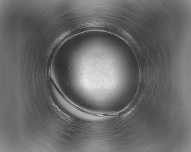 X0000053090930200507251601