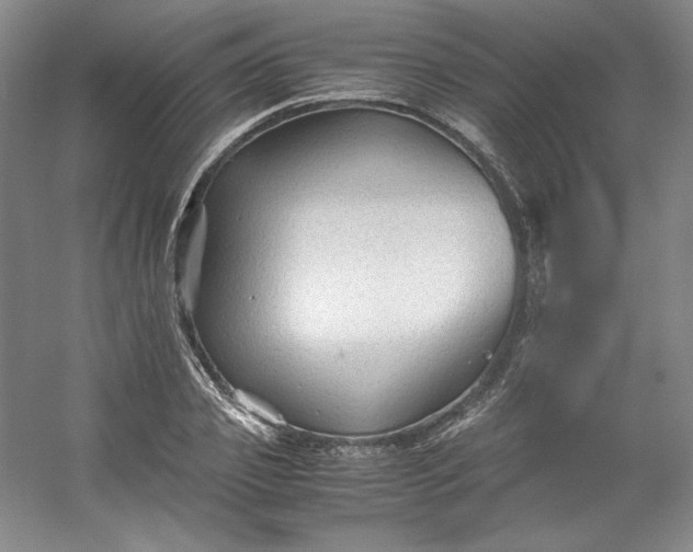 X0000053090933200507251601